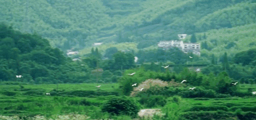 香港宝典免费资料大全
